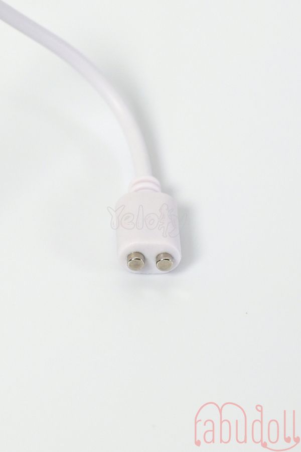 洗浄＆下半身洗浄・消毒・乾燥 リアルドール半身